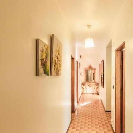 Beach Avenue Apartment Ferrel  Kültér fotó